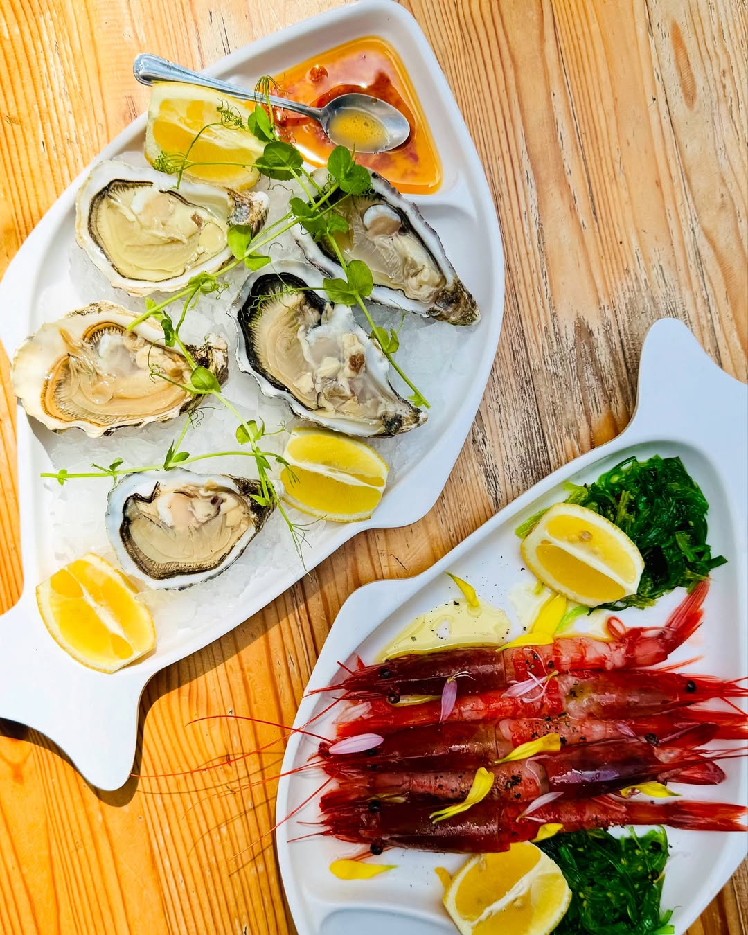 Forty Fishes dish